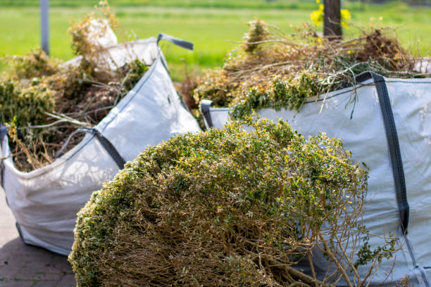 Best Attic Cleanout Services  in Leilani Estates, HI